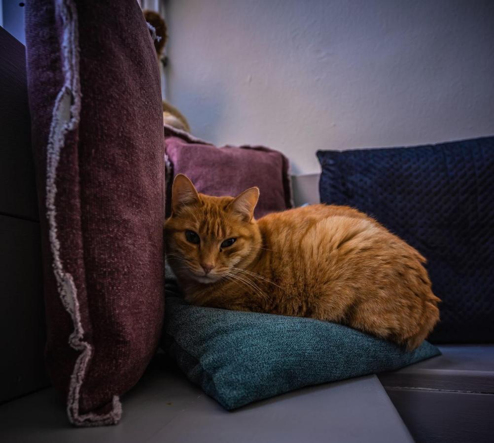 De Kaepstander Bed & Breakfast Middelburg Bagian luar foto